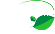 Carbon Vivo