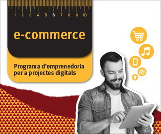 Programa Ecommerce en el sector del comercio electrónico